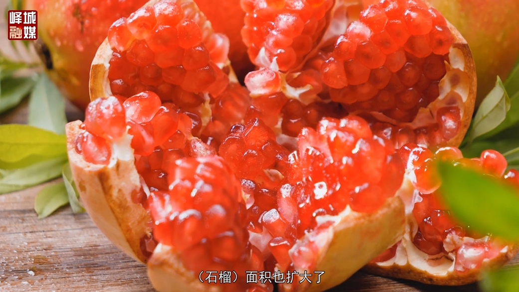΢�Ž�ͼ_20250219144454.png